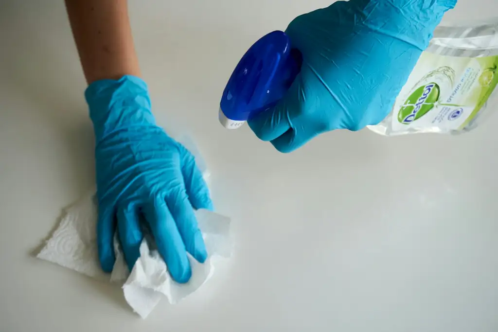General House Cleaning